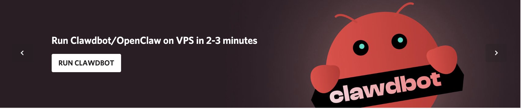 VPS server interface